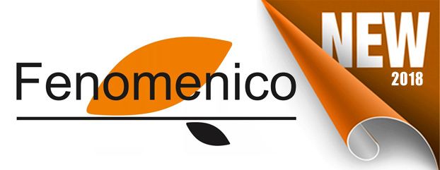   FENOMENICO :    2018